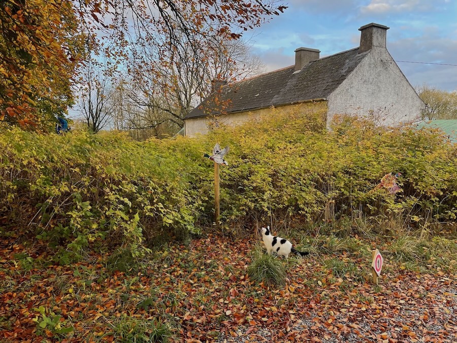 Artist Maria McKinney in residence at Brown Mountain Diamond art space Kilkenny Ireland